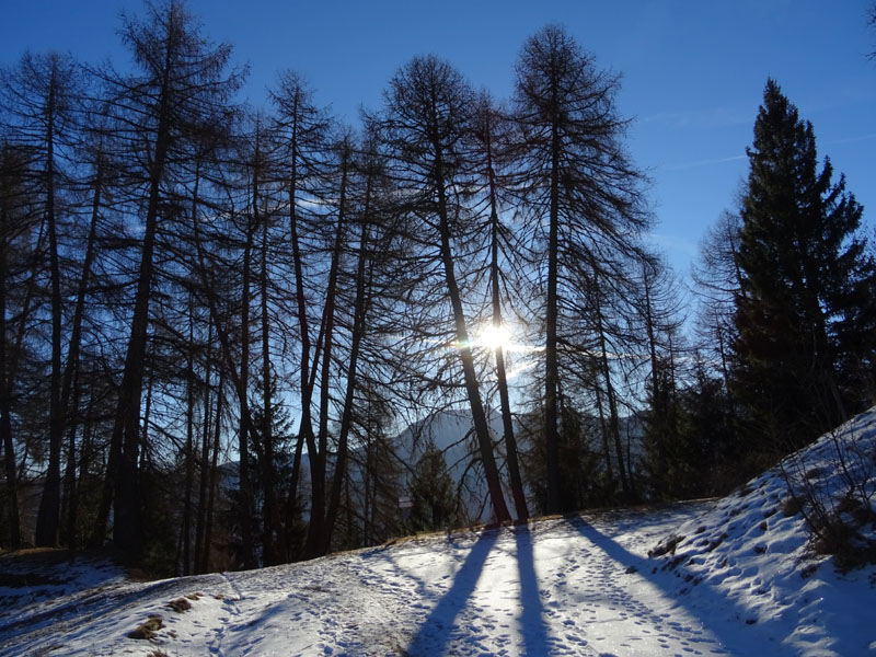 Cimon di Bolentina m. 2287 - Piz di Montes m. 2368